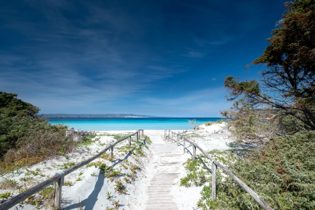 Passerella di legno che conduce attraverso la vegetazione verso una spiaggia di sabbia bianca e mare turchese