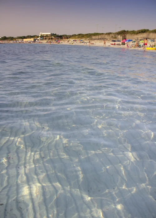 Acqua cristallina e spiaggia sabbiosa con stabilimenti balneari e vegetazione costiera sullo sfondo