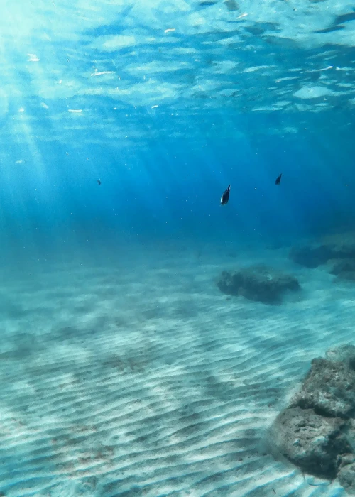 Fondale sabbioso marino con luce solare che filtra attraverso l'acqua cristallina e piccoli pesci tropicali